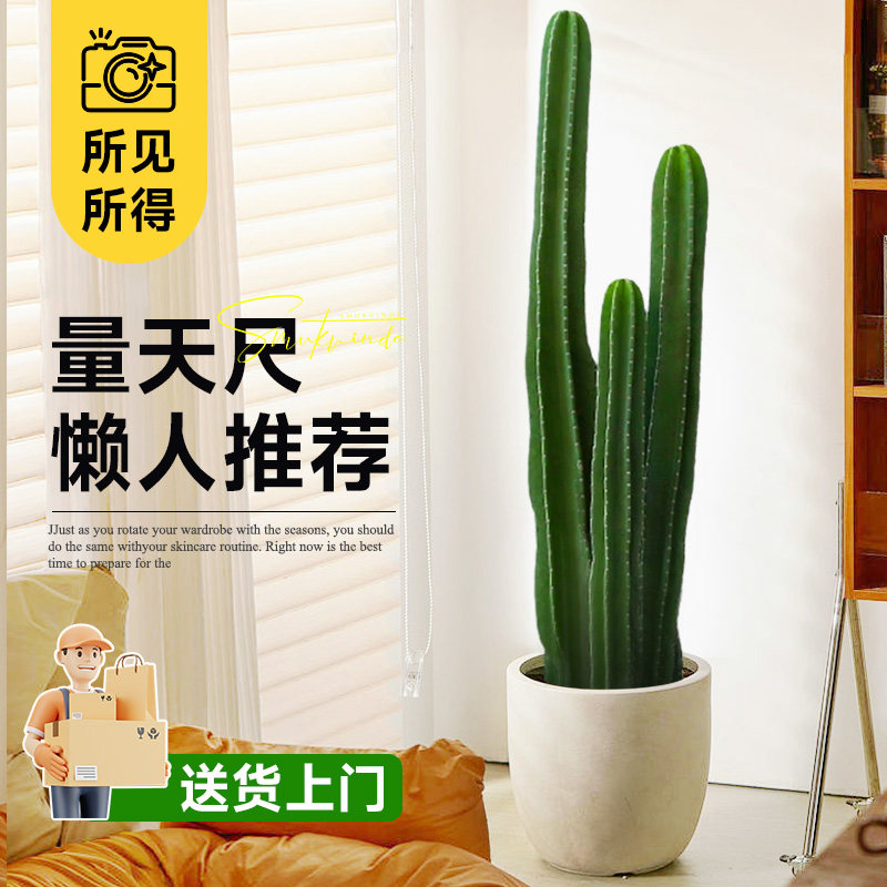 量天尺仙人柱绿植盆栽仙人掌大型植物室内客厅落地多肉禄植好养活
