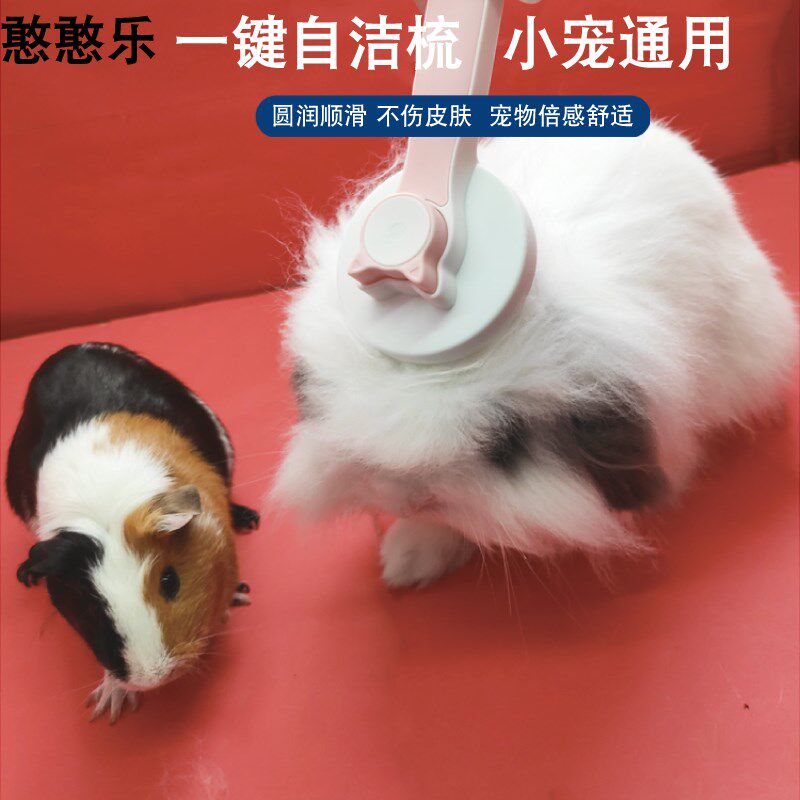 2025新款时尚舒适兔子用品护理兔毛梳豚鼠刷宠物兔子专用浮毛梳子