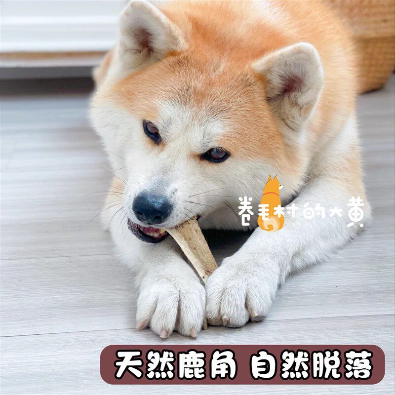 猎食小镇鹿角狗狗磨牙耐咬骨头玩具零食双排牙洁齿幼犬中小型犬