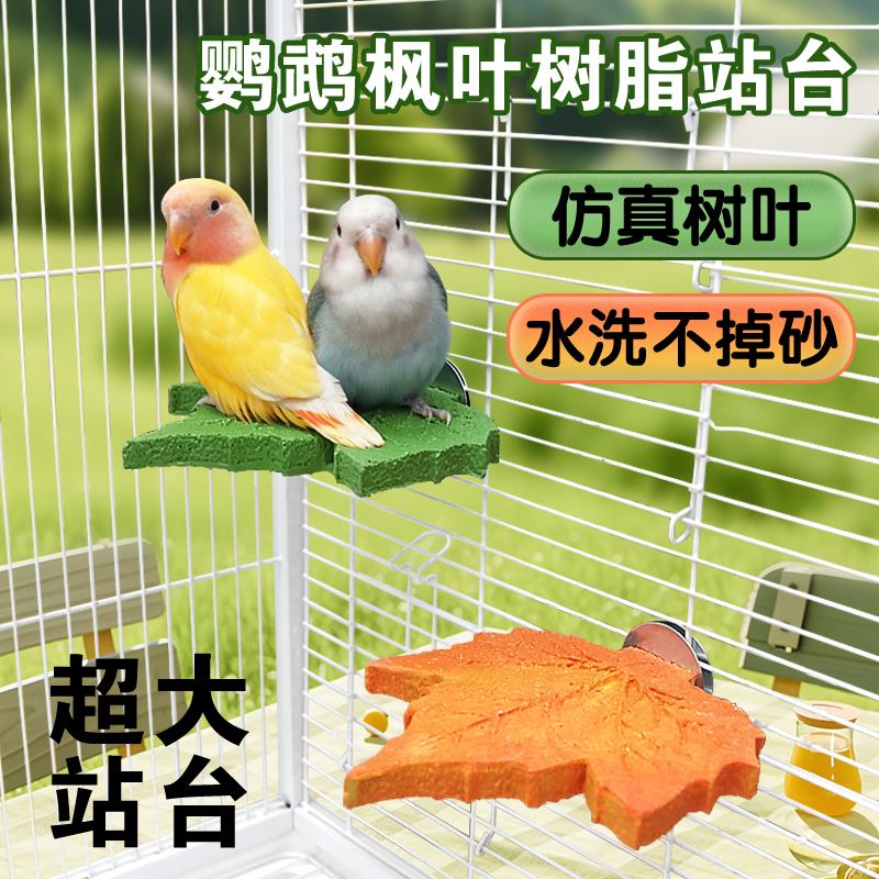 新款鹦鹉树枝磨砂站杆不掉渣玄凤虎皮磨爪棒小鸟站台站架鸟笼配件图片