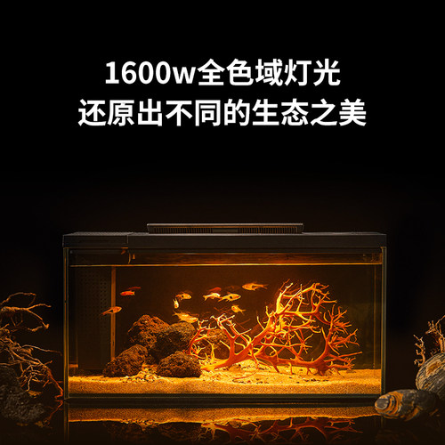 小佩起源纪爬宠饲养箱蜥蜴乌龟守宫玻璃缸超白玻璃小型造景生态缸