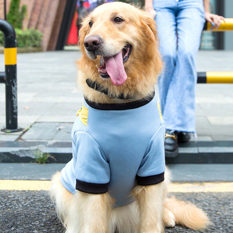 大狗狗金毛的薄款卫衣拉布拉多柴犬宠物萨摩耶中型大型犬秋冬衣服