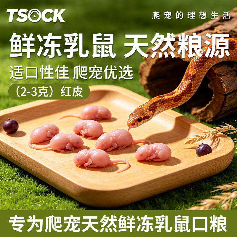 新鲜冷冻红皮角蛙蜥蜴守宫食物