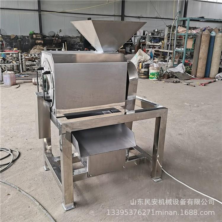 大型工业卧式黄皮果打浆设备芒果去核打汁机商用 红枣蓝莓打泥机