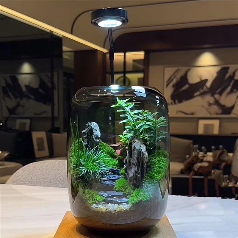 生命之树苔藓微景观生态瓶创意桌面造景盆景绿植盆栽节日生日礼物