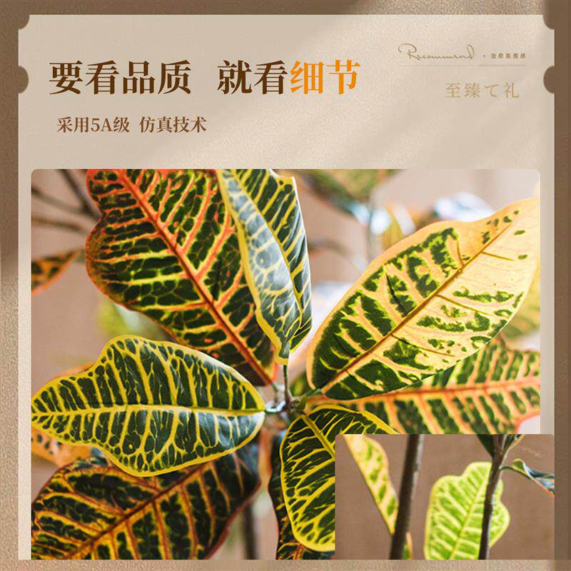 仿真洒金珊瑚榕高端轻奢风假树室内客厅装饰摆件落地仿生绿植盆栽