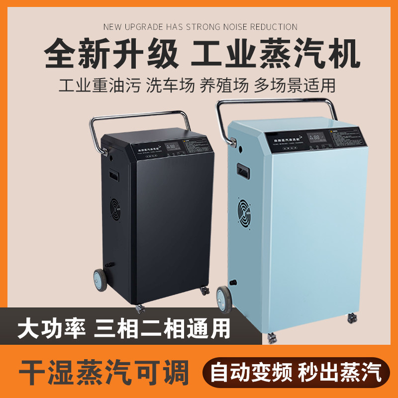 商用大功率蒸汽清洁机高温高压工业设备油污餐厅清洗蒸气洗车内饰