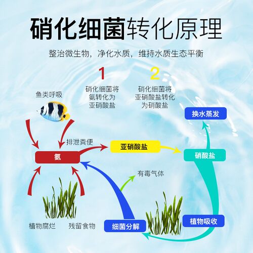 森森硝化鱼缸净水剂硝化菌消化养鱼 鱼缸用鱼药水族水质净化