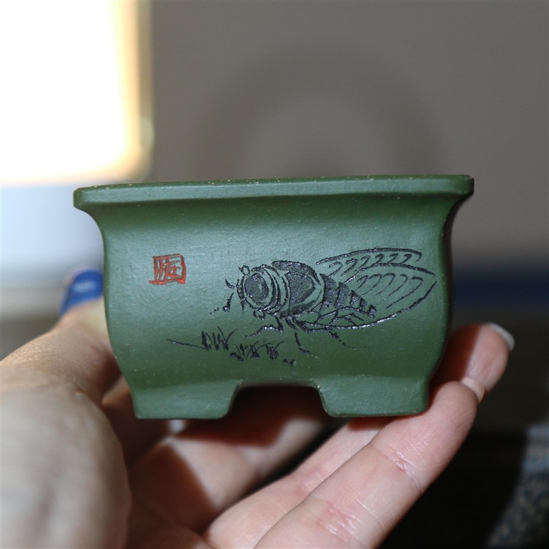 紫砂花盆手工盆盆景盆微型盆苏兵盆景盆名家盆绿泥豆盆掌上盆栽