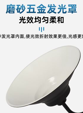 户外防雨马路弯杆灯复古工业风吊灯墙壁灯反光工矿灯罩老式路灯