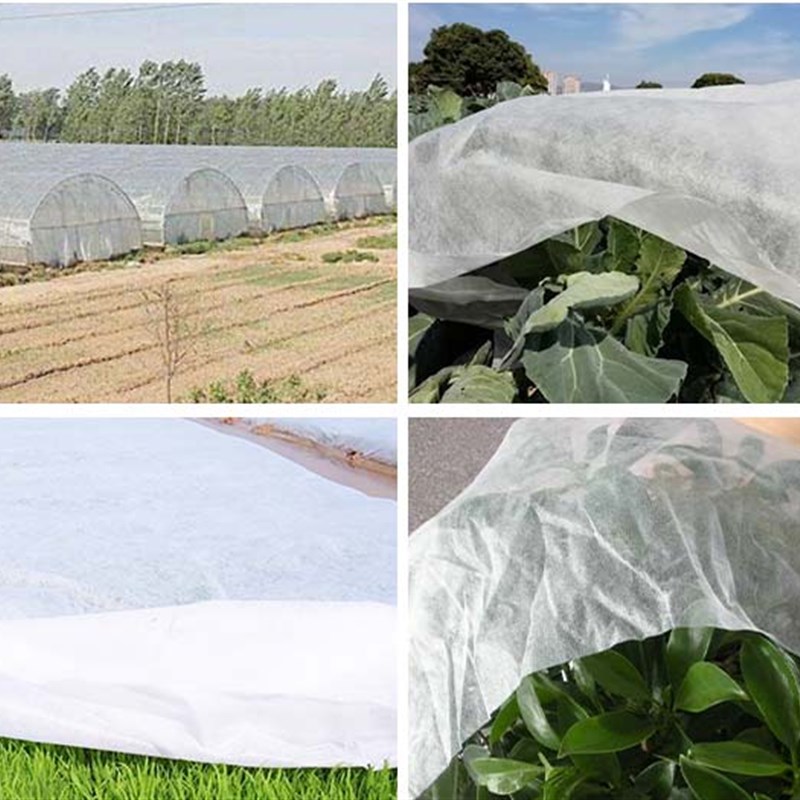 水稻育秧无纺布白色抗老化农用育苗草坪绿化覆盖保温透明透气薄膜
