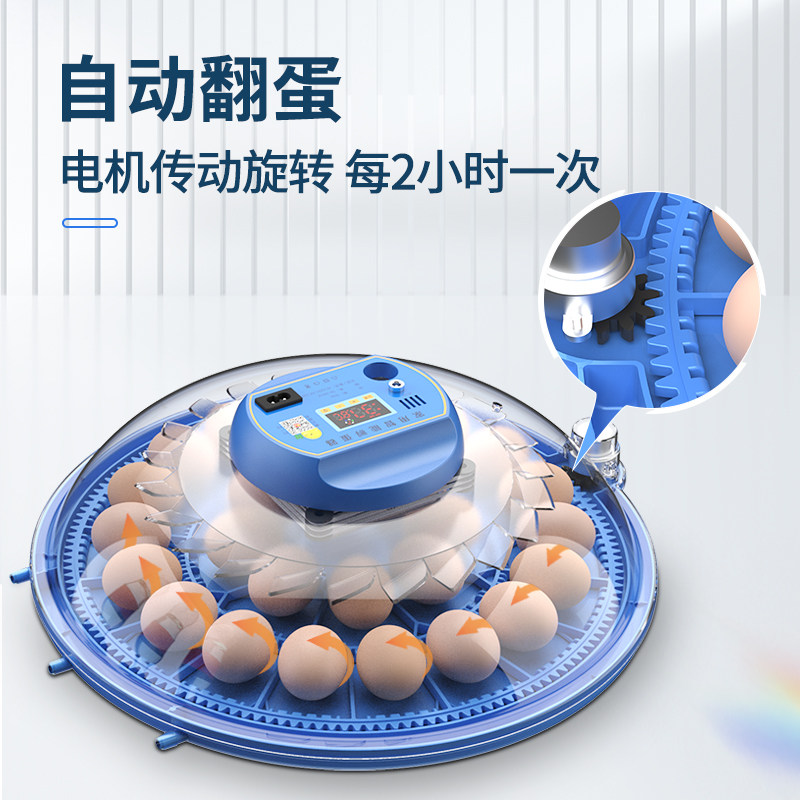 孵化器小型家用孵化机全自动智能孵化箱小鸡鸭鹅鸽鹦鹉种蛋孵蛋器