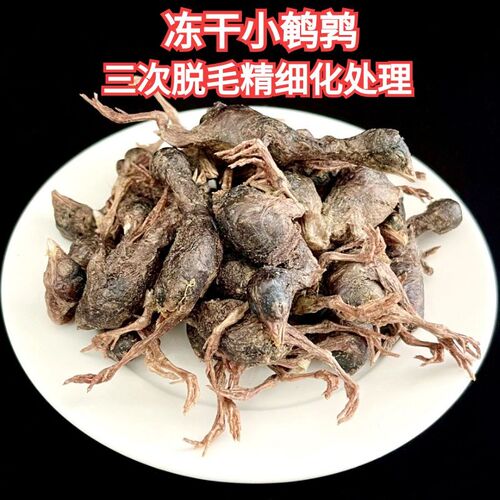 冻干猫零食500g鹌鹑蛋冻干宠物猫咪狗零食增肥发腮猫粮鸡胸肉肉干