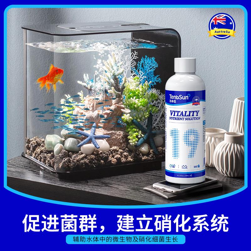 汤本臣鱼愈19号龙鱼活力营养液观赏鱼专用营养液水族鱼缸益生菌剂