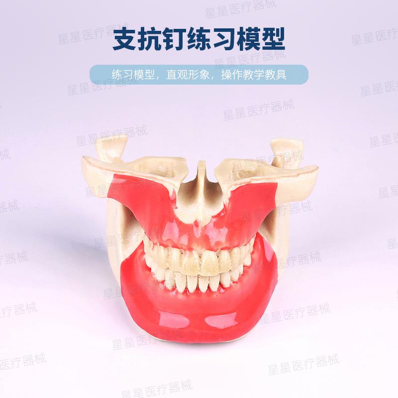 支抗钉模型练习模型发泡塑脂仿骨质硅胶皮口腔教学练模型