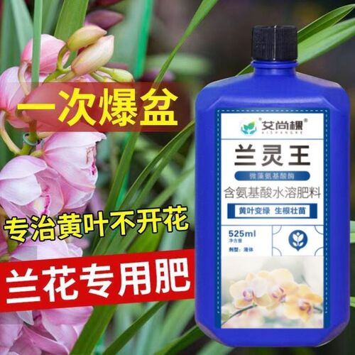 兰灵王兰花爆根液蝴蝶兰君子兰花专用营养液生根促芽根腐黄叶克星