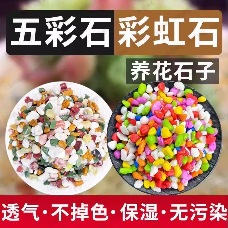 七彩石水培多肉铺面花盆垫底彩色石子白石天然养花园艺白鱼缸底砂