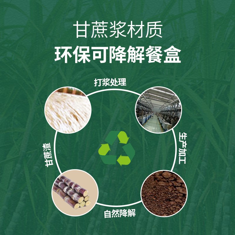 麦小盒一次性可降解纸浆圆碗沙拉甜品芋泥刨冰绵绵冰碗家用打包碗