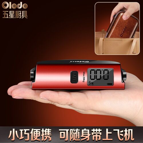 买菜随身秤手提电子秤高精度勾称小型钓鱼吊称便携式行李箱称重器