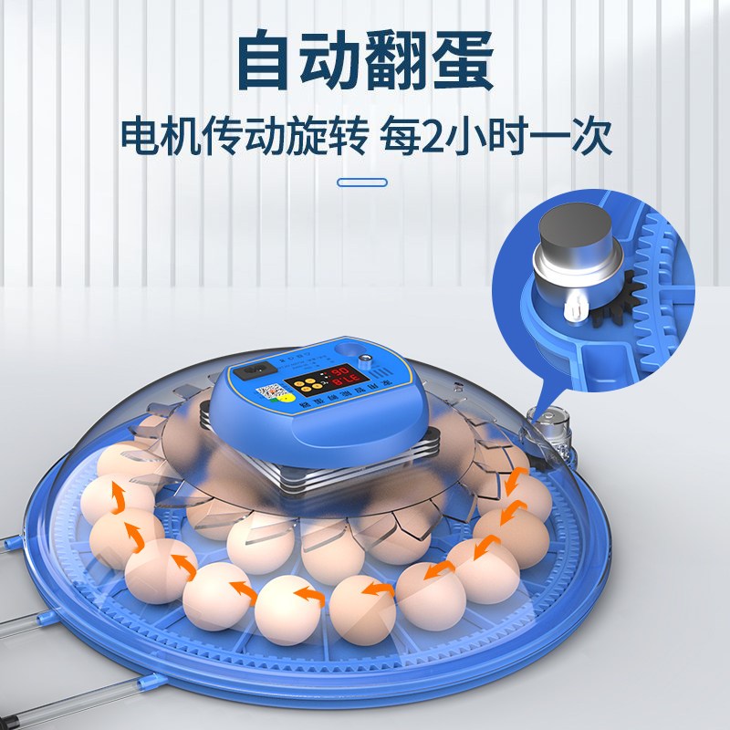 孵化器小型家用全自动智能鸟蛋芦丁小鸡孵蛋器小飞碟孵化箱孵化机