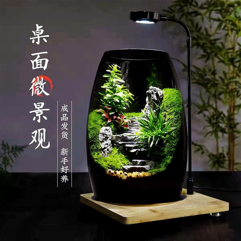 苔藓微景观生态瓶造景植物桌面微缩全套小型青苔森林雨林生态鱼缸