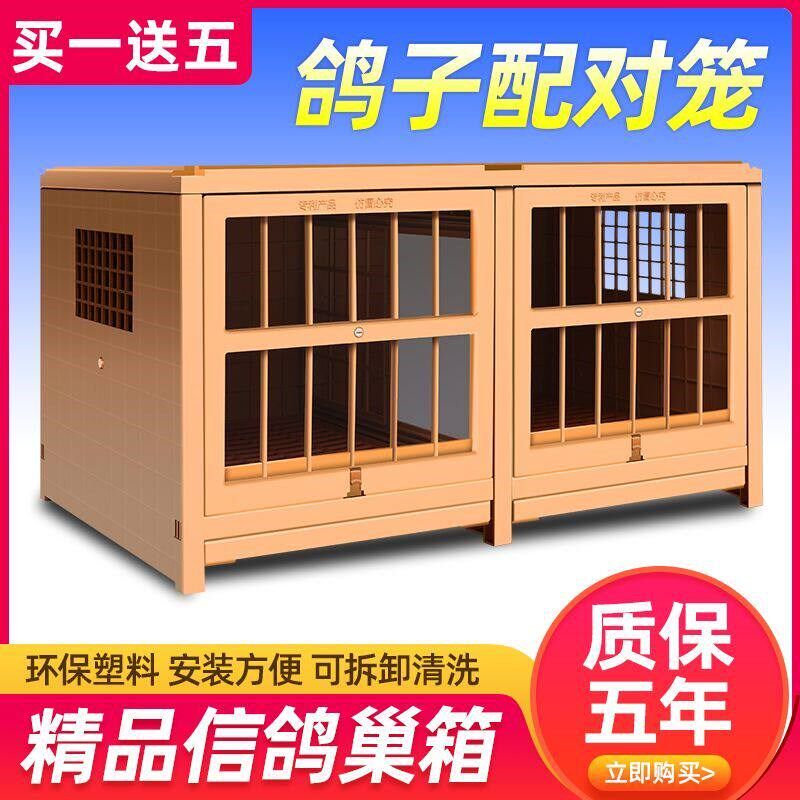 鸽子配对笼信鸽组合巢箱家用养殖新款鸽子笼塑料鸽子笼子鸽具用品