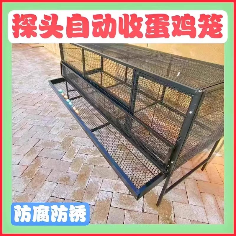 鸡笼子家用室外铁丝网大号防雨防黄鼠狼下蛋鸡笼自动滚蛋笼养殖笼