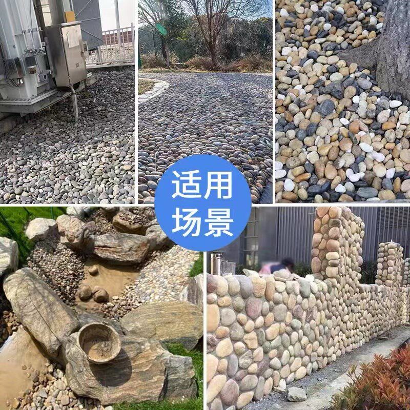 广东河卵鹅卵石滤料变电站变压器用河卵石园林绿化造景河滩鹅软石