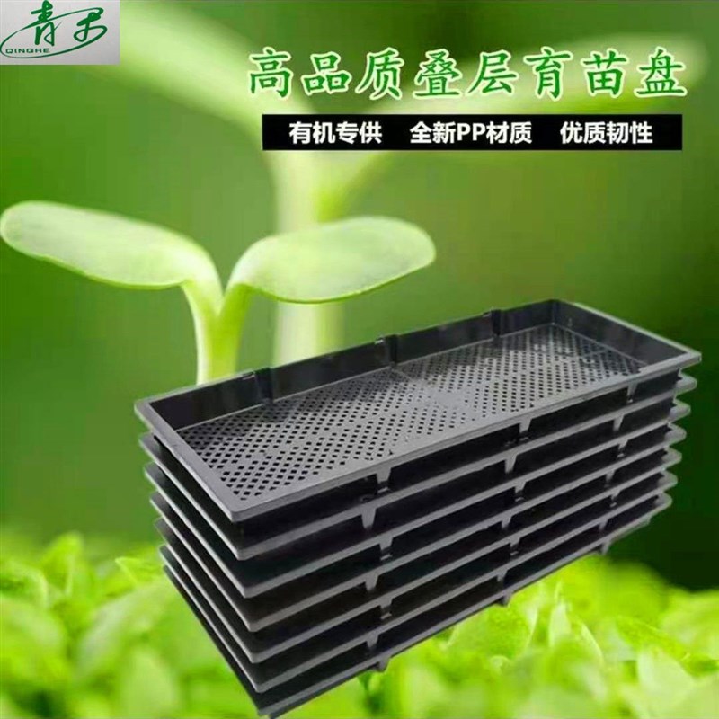 1育苗盘水培盘无土栽培商用种植盘豌豆苗用长方形芽菜专用筐