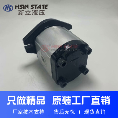 齿轮泵BHP2A0D16C0L1/D1O/D12/D14/D18/D20/D22/D25/D28/D30C0L1