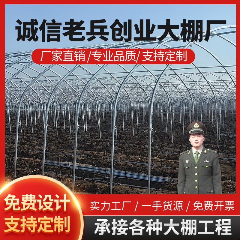 外遮阳连栋大棚连体种植大棚养殖大棚大棚骨架定制智能玻璃温室棚
