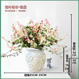 花叶络石粉精灵盆栽四季彩叶垂吊耐寒耐热庭院阳台四季绿植花卉