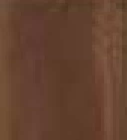 thumbnail for A Silk Scarf in Light Brown with Full Brown and Colorful Floral Patterns 55030716