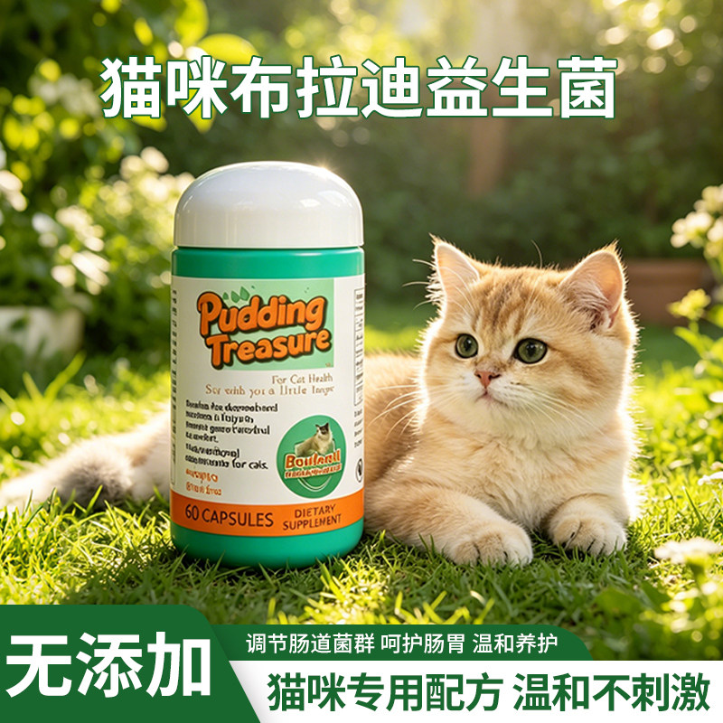 布丁元宝布拉迪益生菌猫专用营养补充剂调理肠胃改善消化60粒进口
