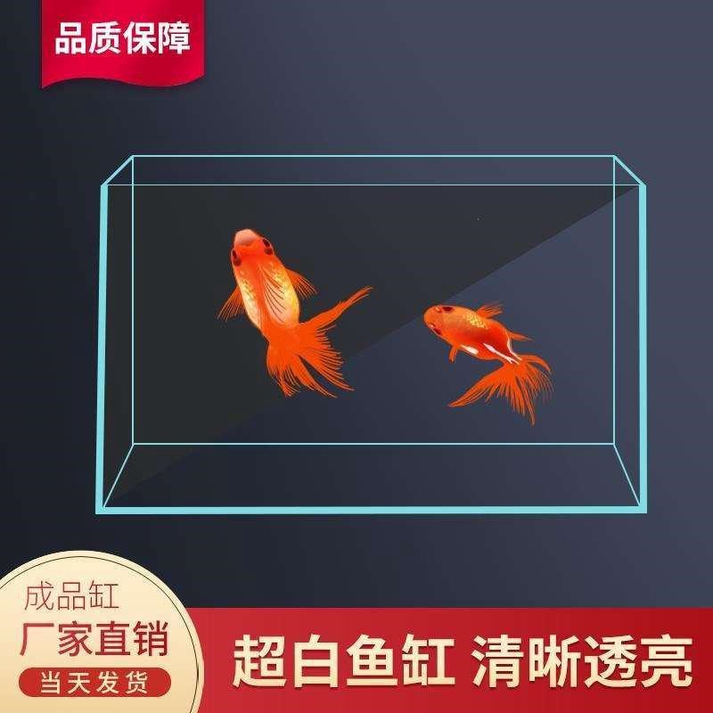 超白鱼缸 水族箱 生态缸20/25 30-50厘米小方缸热弯缸迷你