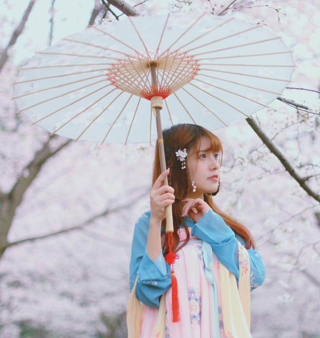 泸州古典油纸伞防雨防晒古代雨伞古装伞白色樱花 舞蹈道具伞