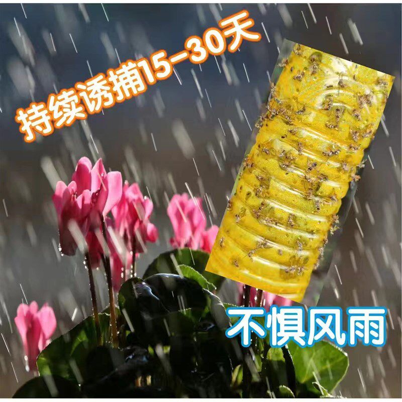 瓜果实蝇诱捕剂瓜实蝇果实蝇针蜂诱粘剂瓜果园神器大实蝇诱粘喷剂