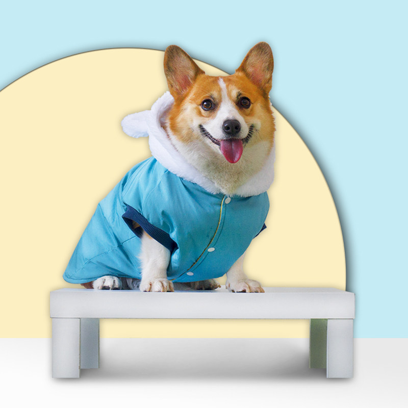 狗狗保暖衣服秋冬网红柯基泰迪冬宠物冬季小型犬2025新款冬装加厚