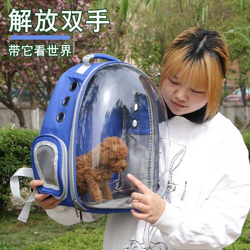 鹦鹉外出便携背包全景透明宠物旅行包玄凤牡丹外带笼中小型鸟用品