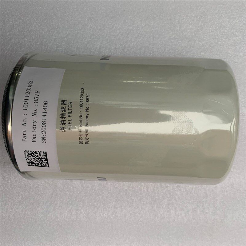 中国重汽豪沃轻卡王系原厂柴油滤芯滤清器细虑1001120353