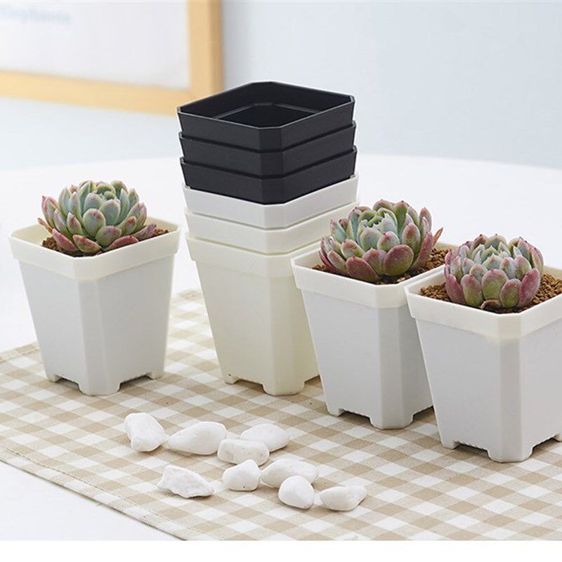 全新加厚多肉植物小黑方特厚7cm10cm大方盆塑料花盆托盘托架包邮
