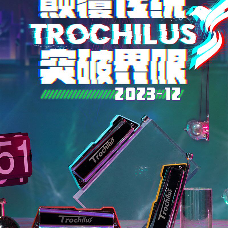 笨笨口琴推荐2024年新款十孔半音阶蜂鸟儿童成人初学进阶演奏高端