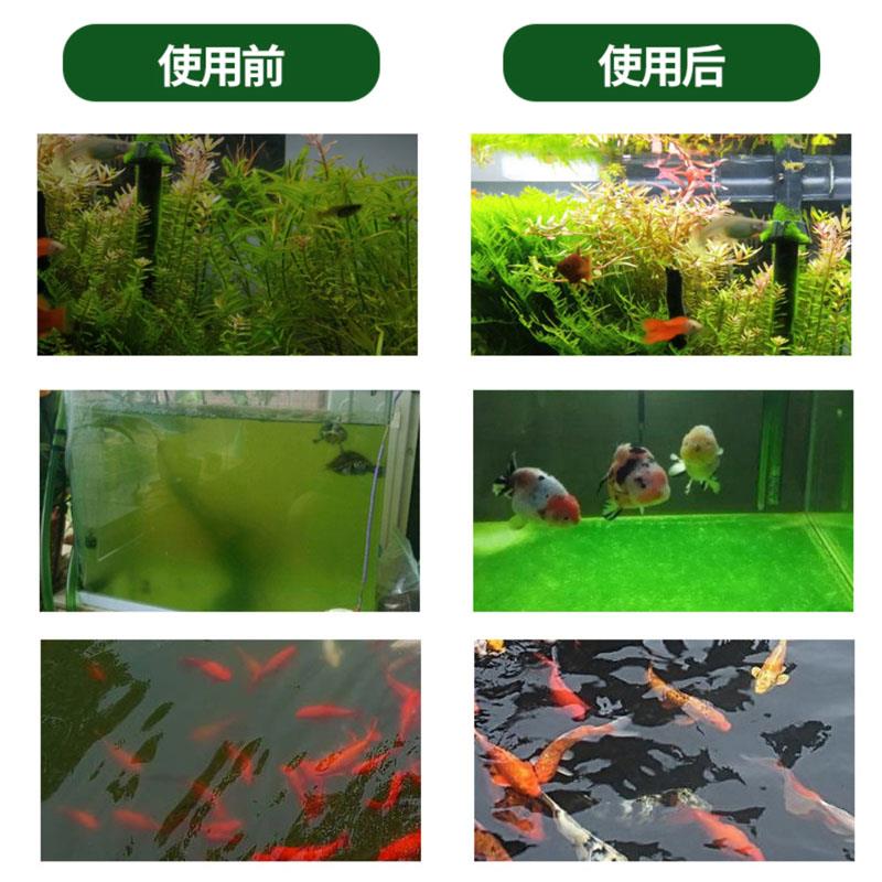 鱼缸净水剂水立清特清水质清澈澄清去绿水鱼池专用杀菌清洁除藻剂