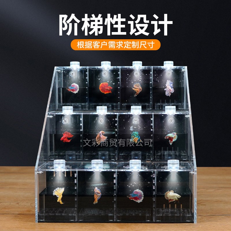 亚克力桌面斗鱼缸多层多格发光带灯免换水生态缸