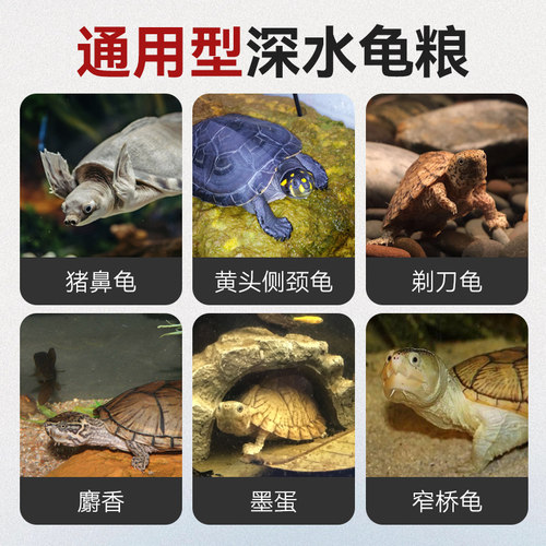 猪鼻龟专用粮下沉型龟粮饲料黄头侧颈龟剃刀龟沉底深水龟乌龟通