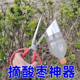 摘酸枣工具摘酸枣神器摘果机不锈钢采果机摘小番茄摘花椒