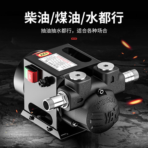灼濛静音油泵两用抽水泵12V24V220V伏柴油泵直流油泵抽油器加油机