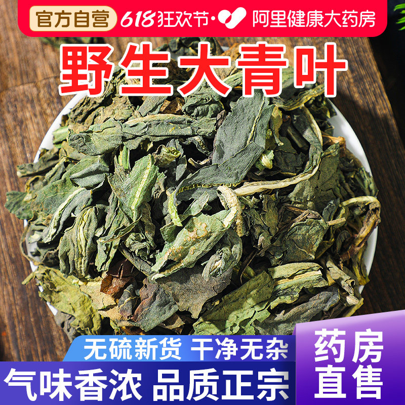 大青叶中草药材250g野生大青叶茶板蓝根叶子煮水泡水喝官方旗舰店