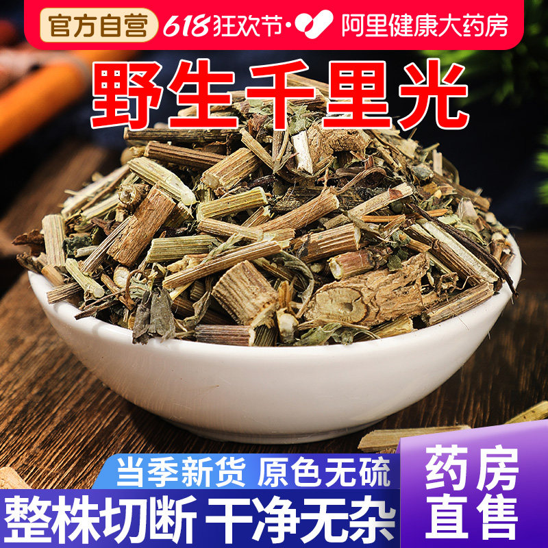 野生千里光中草药材新货九里光九里明小孩洗澡泡澡正品官方旗舰店