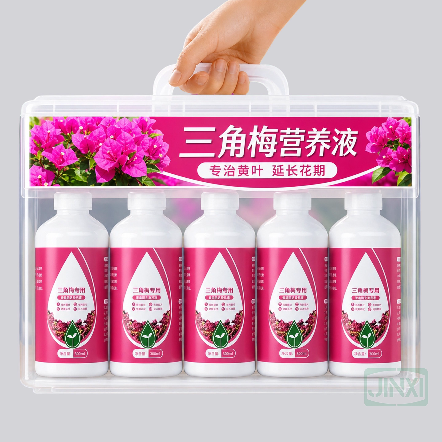 三角梅营养液【绿叶+催花+壮根】